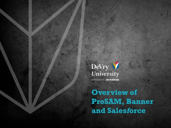 Overview of ProSAM, Banner and Sales f orce
