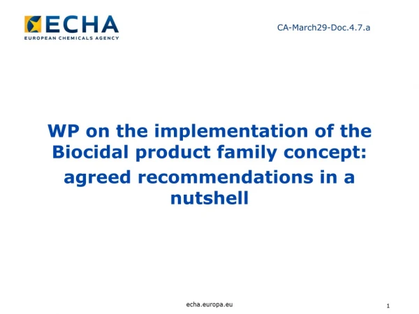 WP on the implementation of the Biocidal product family concept :