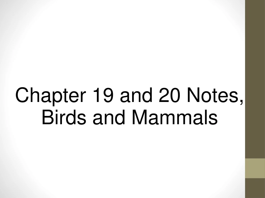 chapter 19 and 20 notes birds and mammals