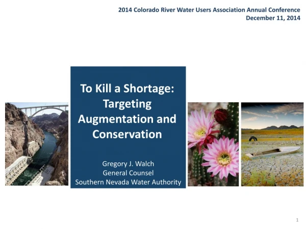 To Kill a Shortage: Targeting Augmentation and Conservation