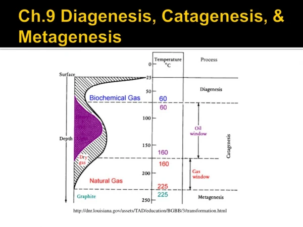 Ch.9 Diagenesis , Catagenesis , &amp; Metagenesis