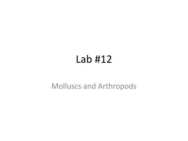 Lab #12