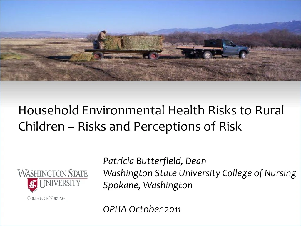 household environmental health risks to rural