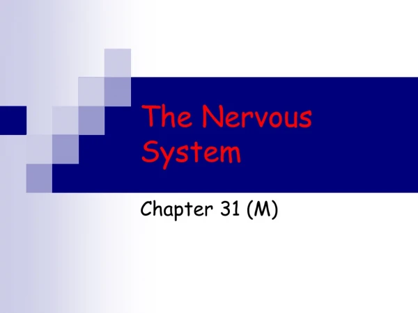 The Nervous System