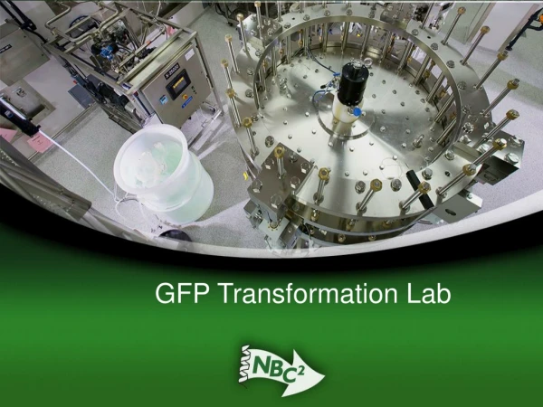 GFP Transformation Lab