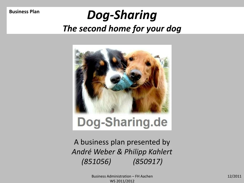 dog sharing the second home for your dog