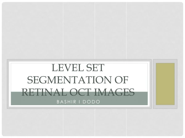 Level Set Segmentation of Retinal OCT Images
