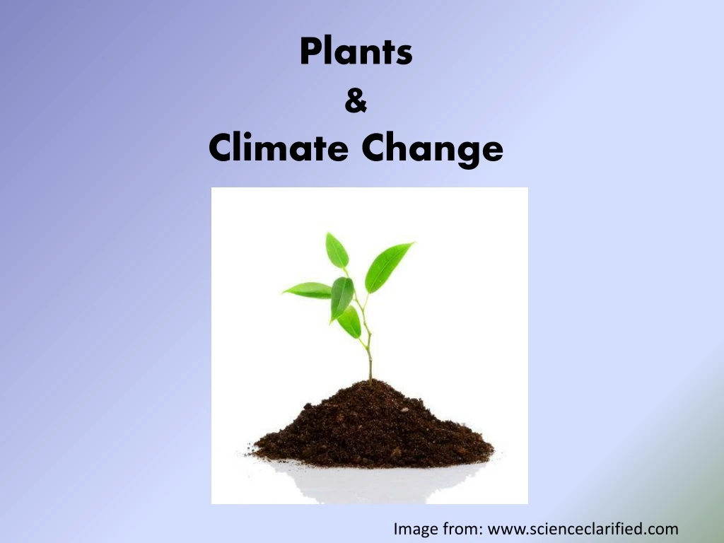 plants climate change