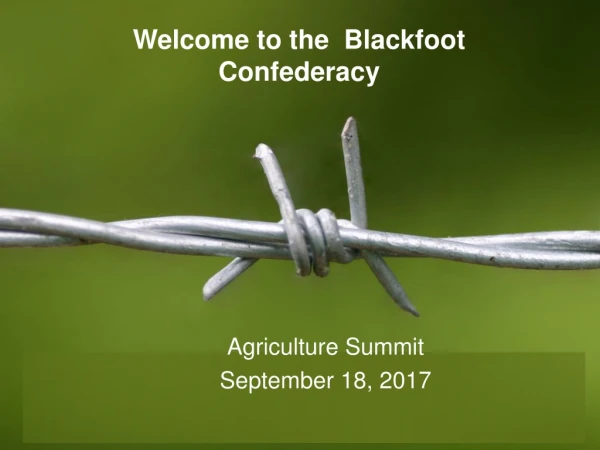 Welcome to the Blackfoot Confederacy