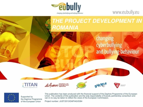 THE PROJECT DEVELOPMENT IN ROMANIA