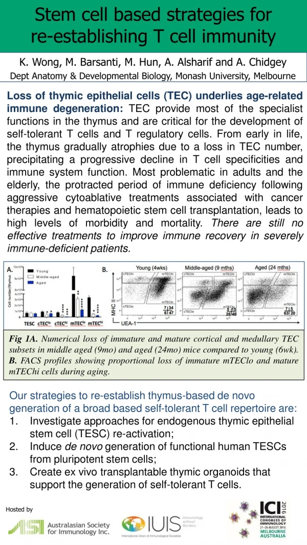 Stem cell based strategies for re-establishing T cell immunity