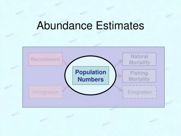 Abundance Estimates