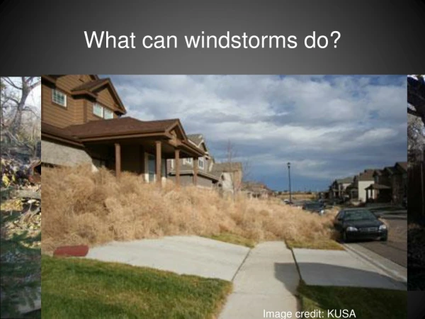 What can windstorms do?