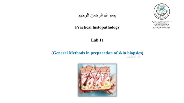 بسم الله الرحمن الرحيم Practical histopathology Lab 11