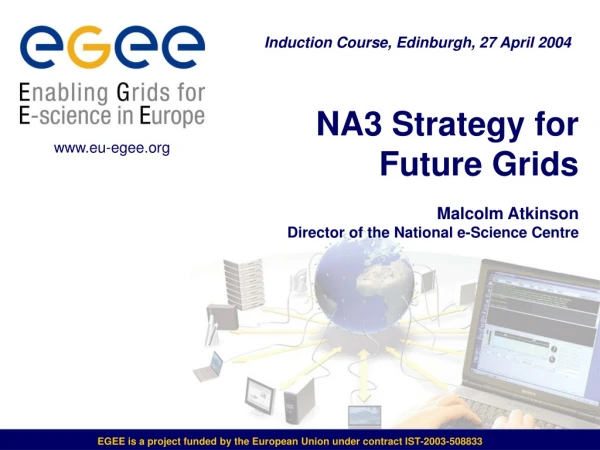 NA3 Strategy for Future Grids Malcolm Atkinson Director of the National e-Science Centre