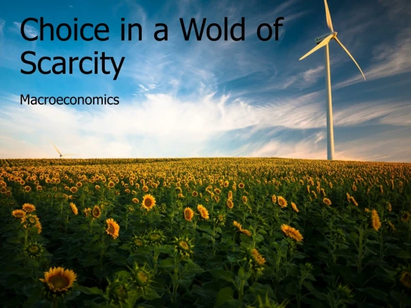 Choice in a Wold of Scarcity