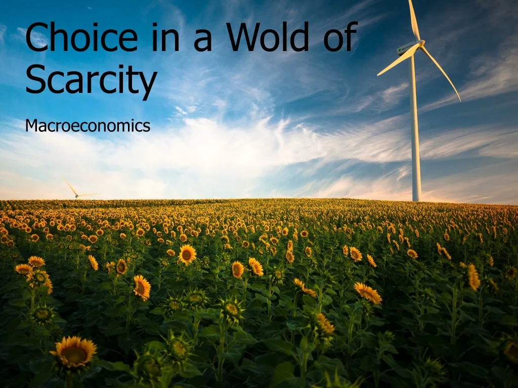 choice in a wold of scarcity