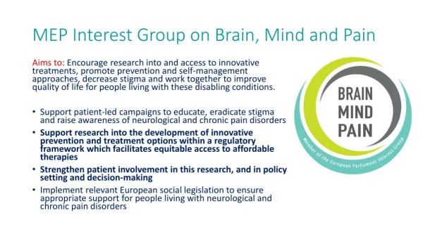 MEP Interest Group on Brain, Mind and Pain