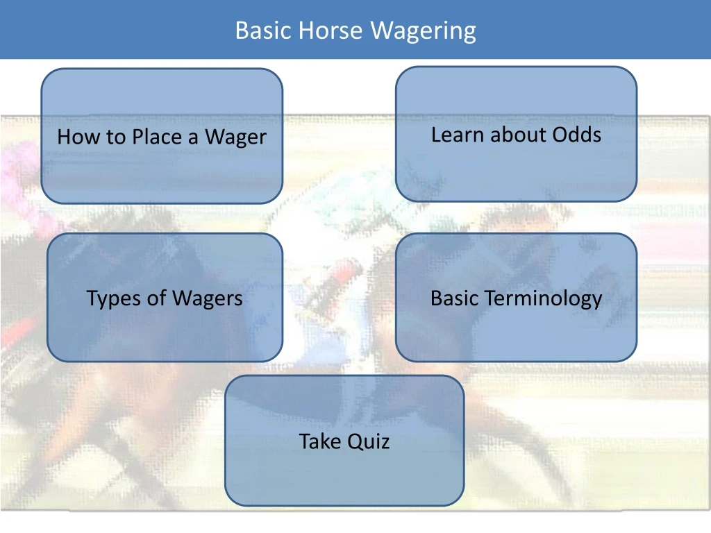 basic horse wagering