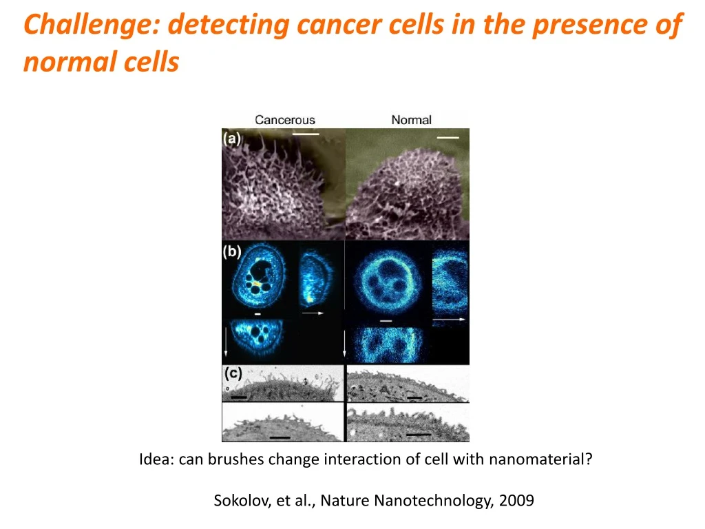 challenge detecting cancer cells in the presence