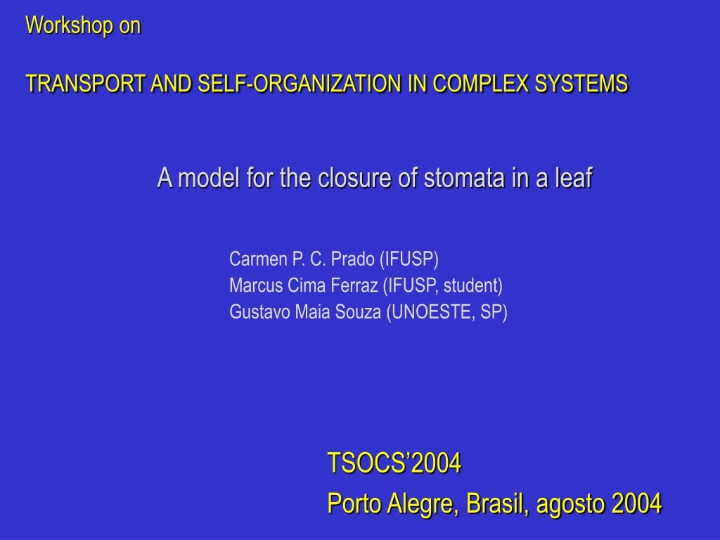workshop on transport and self organization in complex systems