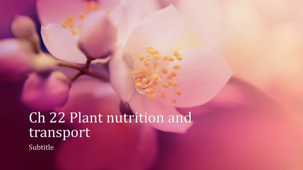 Ch 22 Plant nutrition and transport