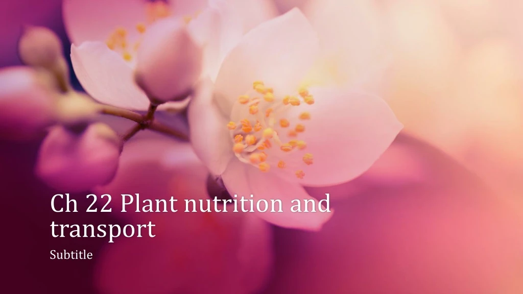 ch 22 plant nutrition and transport