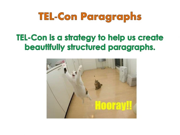 TEL-Con Paragraphs