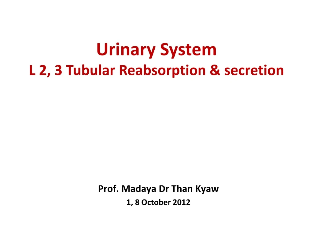 urinary system l 2 3 tubular reabsorption secretion