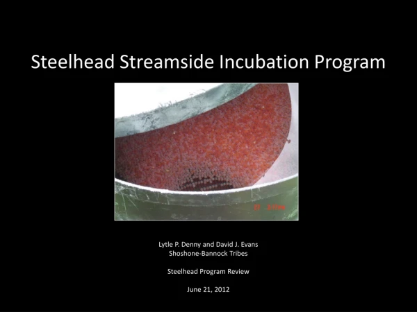 Steelhead Streamside Incubation Program