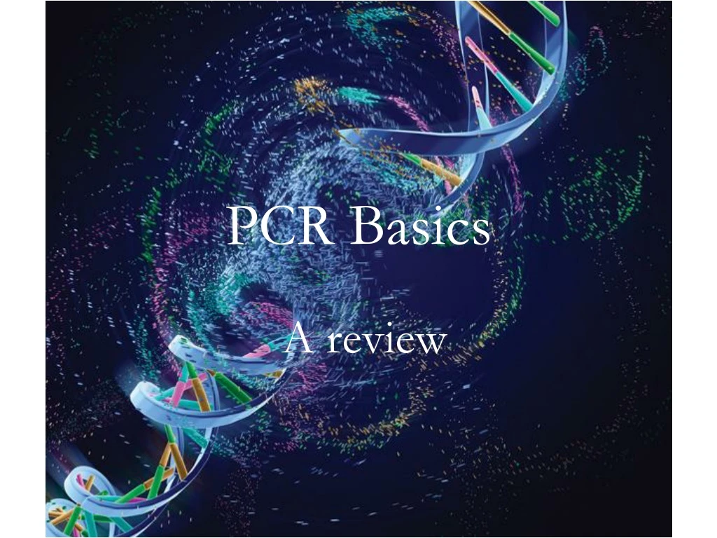 pcr basics