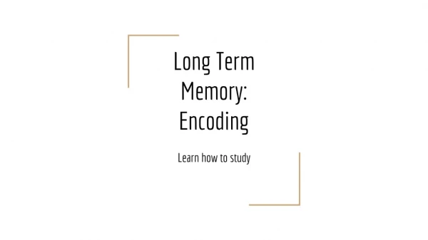 Long Term Memory: Encoding