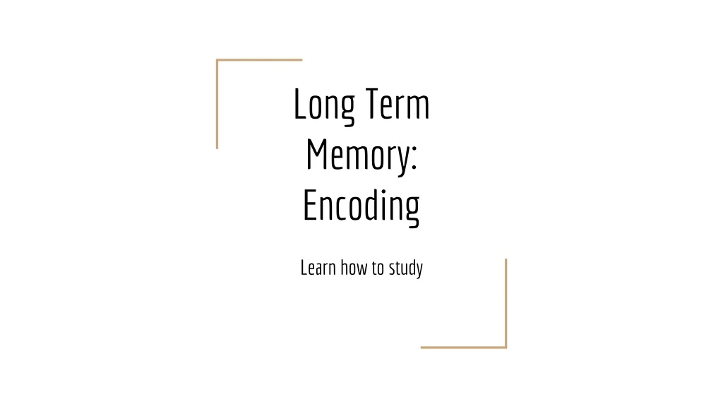 long term memory encoding