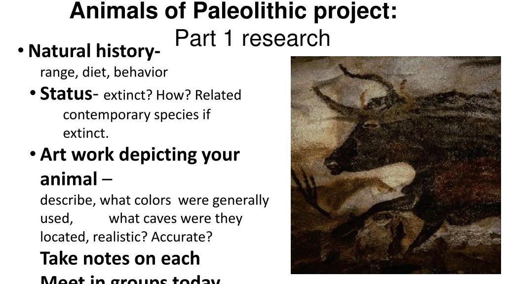 animals of paleolithic project part 1 research