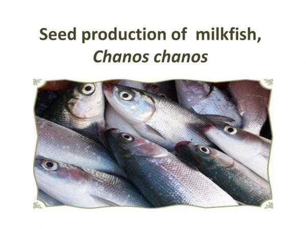 Seed production of milkfish, Chanos chanos