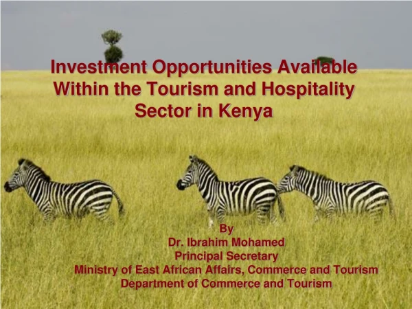 Investment Opportunities Available Within the Tourism and Hospitality Sector in Kenya