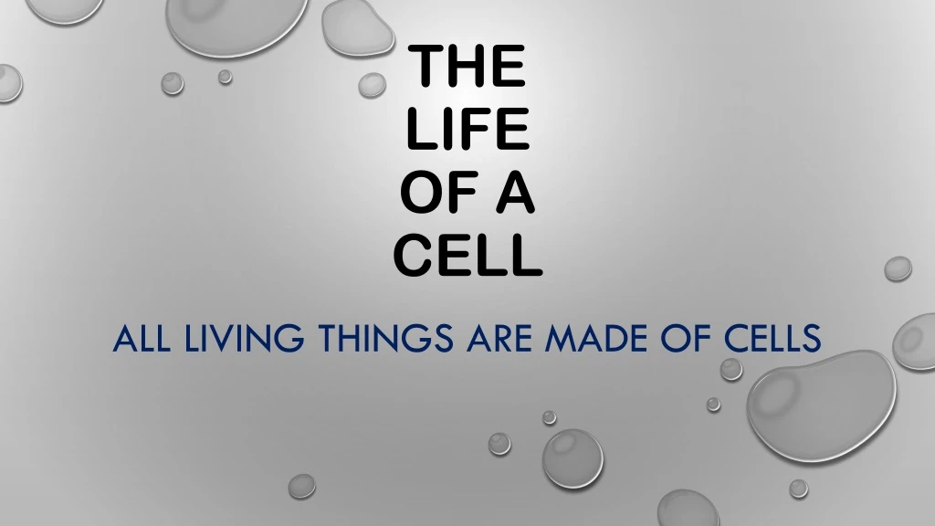 the life of a cell