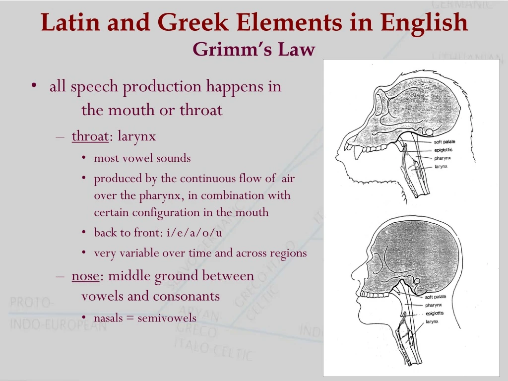 latin and greek elements in english grimm s law