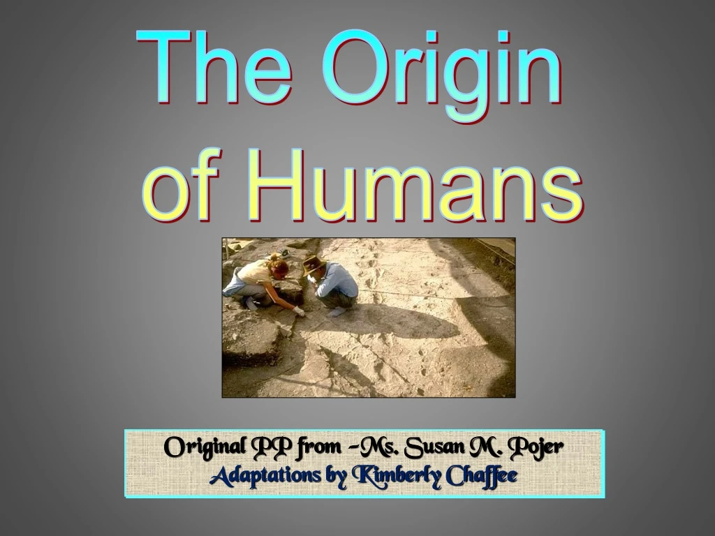 the origin of humans