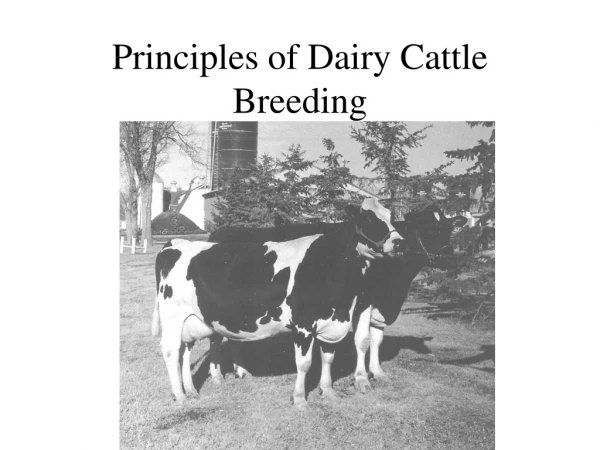 Principles of Dairy Cattle Breeding