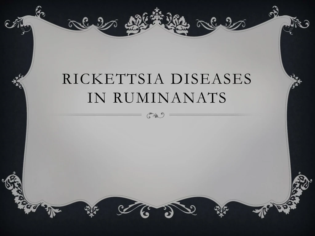rickettsia diseases in ruminanats