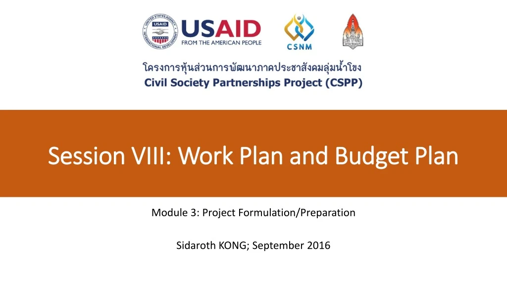 session viii work plan and budget plan