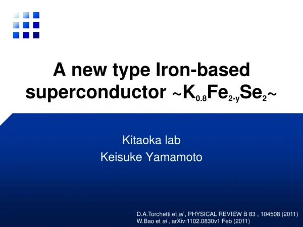 A new type Iron-based superconductor ~K 0.8 Fe 2-y Se 2 ~