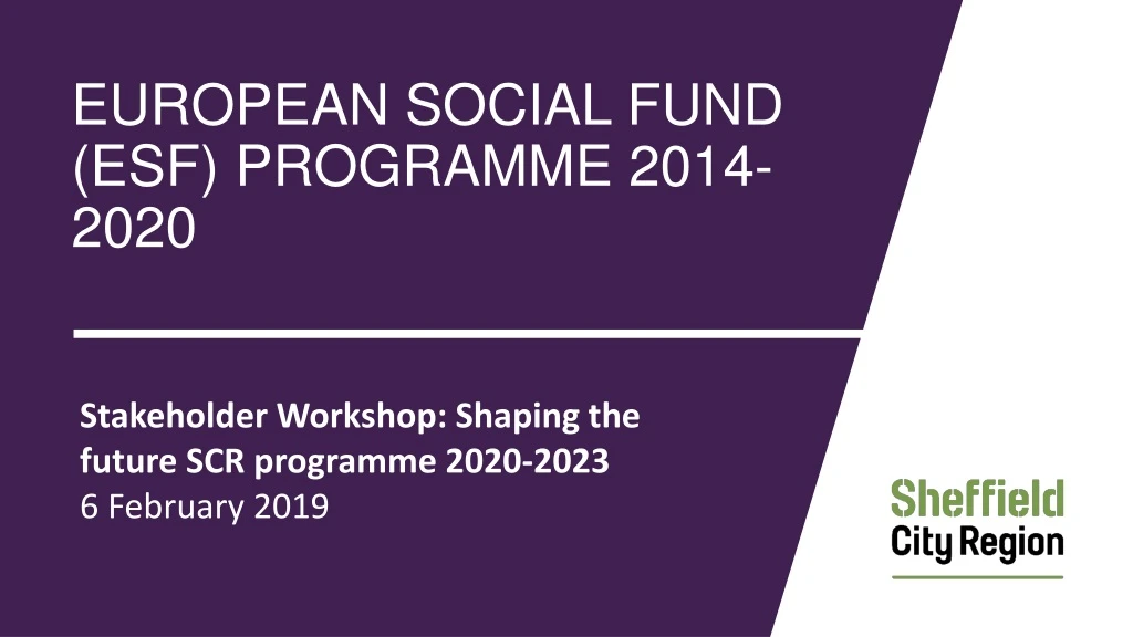 european social fund esf programme 2014 2020