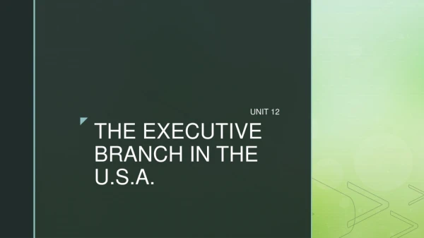THE EXECUTIVE BRANCH IN THE U.S.A.