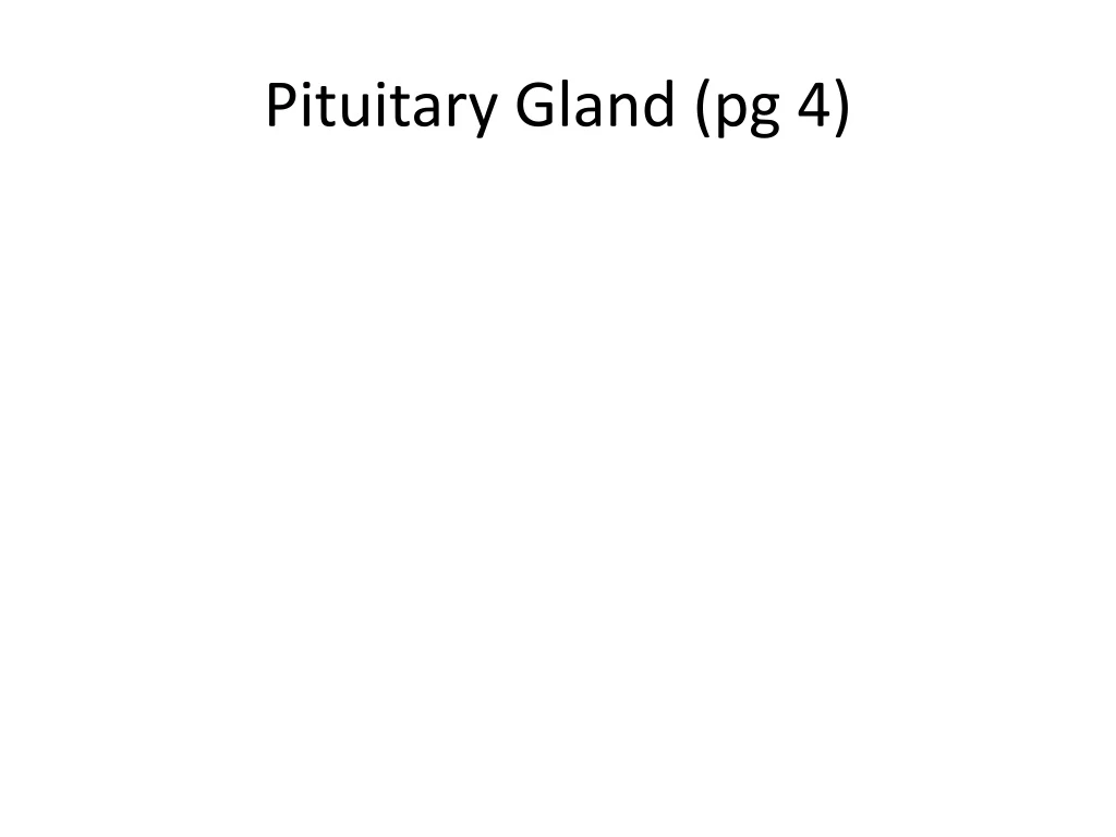 pituitary gland pg 4