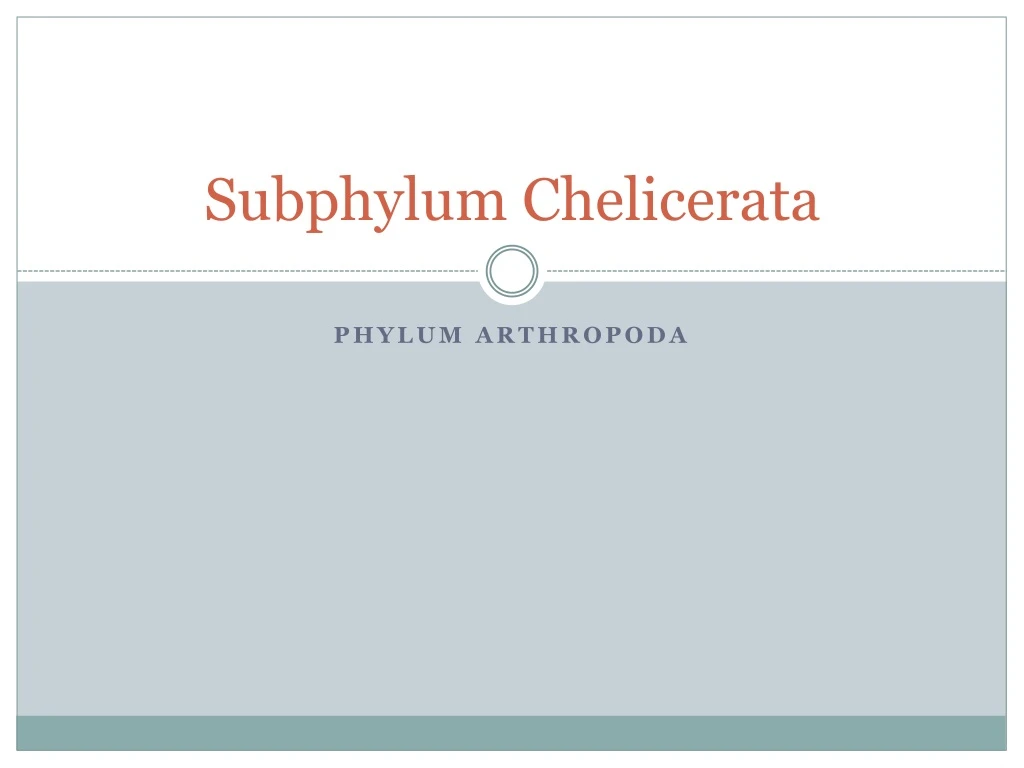subphylum chelicerata