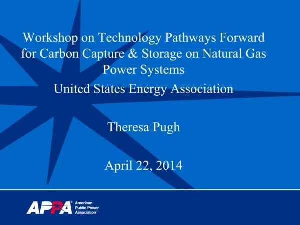 Workshop on Technology Pathways Forward for Carbon Capture &amp; Storage on Natural Gas Power Systems