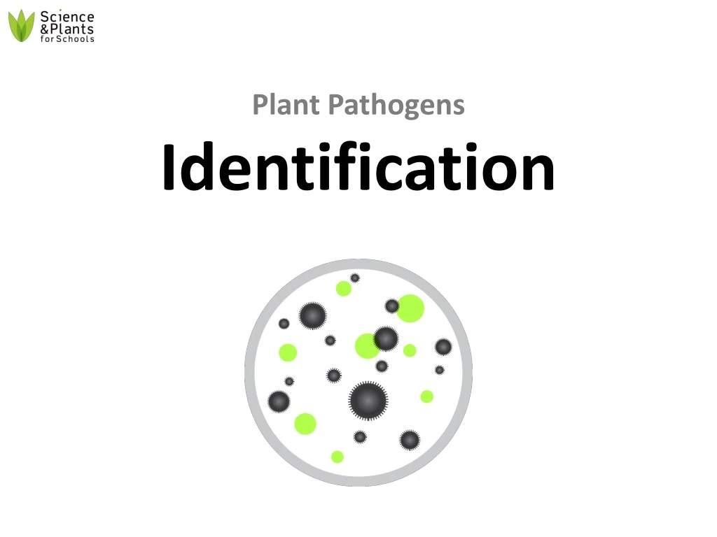 plant pathogens identification