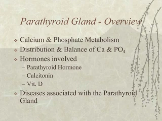 Parathyroid Gland - Overview - slide 1